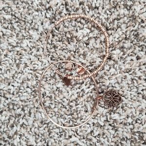 Alex and Ani Bracelet Set